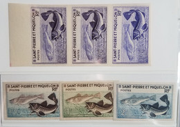 #12 Cod - Timbres De 1957 Morues Yv 353 / 354 / 354 ND - Yv353 Essai Couleur TB** - Unused Stamps