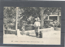 ALGÉRIE -BLIDA - GORGES DE LA CHIFFA  AU RUISSEAU DES SINGES - Blida