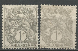 ALEXANDRIE N° 19 X 2 Nuances  NEUF(*) Sans Gom / No Gum - Unused Stamps
