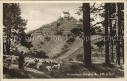 72278730 Wurmlingen Rottenburg Bergkapelle Schafherde Schaefer Wurmlingen Rotten - Rottenburg