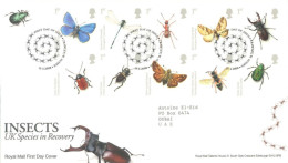 GREAT BRITAIN - 2008, FDC STAMPS OF INSECTS UK SPECIES IN RECOVERY. - Briefe U. Dokumente