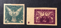 1918  Czechoslovakia - Newspaper Stamps Falcon In Flight - Variety, Double Color Printing - Unused ( Mint Hinged ) - Neufs