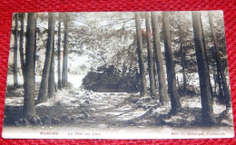 MARCHE EN FAMENNE  -  La Tête Du Lion   -  1914 - Marche-en-Famenne