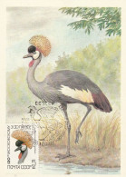 Sovjet Unie 1984, Card Birds - Storia Postale