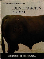 Identificación Animal - Antonio Sánchez Belda - Práctico