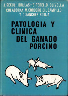 Patología Y Clínica Del Ganado Porcino - VV.AA. - Práctico