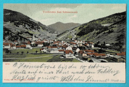 * Todtnau (Baden Wuerttemberg - Deutschland) * (Verlag Von Otto Bernauer 25778) Bad. Schwarzwald, Panorama, Old - Todtnau