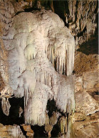 38 - La Balme Les Grottes - Grottes De La Balme - Le Saule Pleureur - Spéléologie - Curiosité Géologique - Carte Neuve - - La Balme-les-Grottes