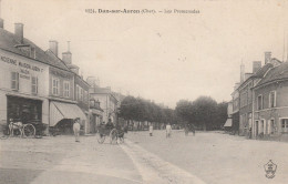 18 - DUN SUR AURON - Les Promenades - Dun-sur-Auron