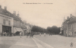 18 - DUN SUR AURON - Les Promenades - Dun-sur-Auron