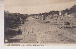 SELINUNTE  TRAPANI ACROPOLI  DI SELINUNTE  IV° FOTOGRAFICA  EDIZ. NPG - Trapani