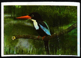 ►  Oiseau Tropical Asie  - Chromo-Image Cigarette Josetti Bilder Berlin Album 4 1920's - Andere Merken