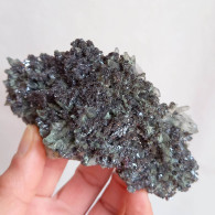 #AUG04.03 Splendida GALENA, Quarzo Prasio Cristalli (Verkhny Mine, Dalnegorsk, Primorskiy Kray, Russia) - Minerales