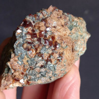 #D51 - Beau Grenat Var. HESSONITE Cristaux (Val Di Gava, Voltri, Gênes, Ligurie, Italie) - Minerali