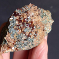 #D51 - Beau Grenat Var. HESSONITE Cristaux (Val Di Gava, Voltri, Gênes, Ligurie, Italie) - Minéraux