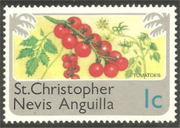 XW01-3081 St Christopher Tomatoes Tomate Tomato Légume Vegetable Fruit MH * Neuf - Frutta
