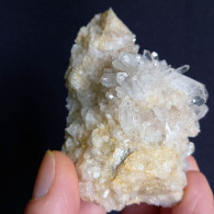 #E54 Schöne QUARZ XX (Castagnola, Val D'Aveto, Piacenza, Italien) - Minerales