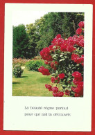 Pensée "La Beauté Règne Partout Pour Qui Sait La Découvrir." Rosier Roses Jardin 2scans - Philosophy