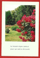 Pensée "La Beauté Règne Partout Pour Qui Sait La Découvrir." Rosier Roses Jardin 2scans - Filosofía & Pensadores