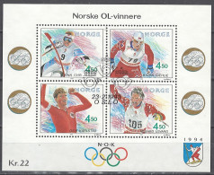 Norwegen Norway 1993. Mi. Block 19, Used O - Blokken & Velletjes