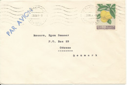 Lebanon Cover Sent Air Mail To Denmark 29-12-1963 Single Franked - Liban