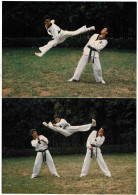 Poster Campeones Taekwondo 1987 J. M. Sánchez, John R. Wright Y Jesús Tortosa - Autres & Non Classés