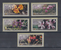 Zypern Amiel-ATM Ausgabe Wildblumen 2002, Mi.-Nr. 5-9 Je Eine ATM Mit Nr. 007 - Otros & Sin Clasificación