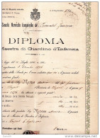 1905 GRANDE  DIPLOMA MAESTRA DI GIARDINO D'INFANZIA - Diplomi E Pagelle