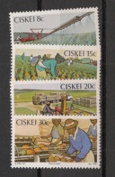 CISKEI - 1982 - N°YT. 26 à 29 - Fruits / Ananas / Pineapple - Neuf Luxe ** / MNH / Postfrisch - Ciskei