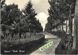 Abruzzo-pescara-penne Viale Ringa Veduta Viale Alberato Case Auto Anni 50 - Sonstige & Ohne Zuordnung