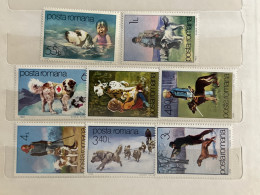 Dogs Chiens Hunde  1982 MNH - Neufs