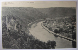 BELGIQUE - NAMUR - HASTIERE - WAULSORT - Le Drapeau Et Vue Générale - Hastière