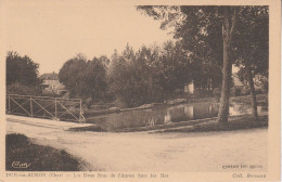 18 - DUN SUR AURON - Les Deux Bras De L' Auron Dans Les Iles - Dun-sur-Auron