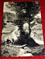 AUBY SUR SEMOIS  - Le Sentier De La Grotte Saint Remacle - Herbeumont