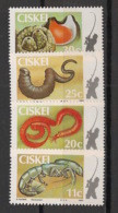 CISKEI - 1984 - N°YT. 57 à 60 - Appâts / Baits - Neuf Luxe ** / MNH / Postfrisch - Ciskei