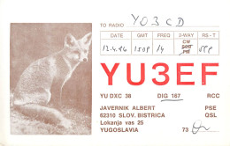 QSL Card Yugoslavia Amateur Radio Station YU3EF Y03CD 1986 Javernik Albert Fox - Radio Amateur