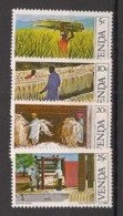 VENDA - 1982 - N°YT. 54 à 57 - Agriculture / Sisal - Neuf Luxe ** / MNH / Postfrisch - Venda