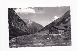 E5663) Gasthof STEINBOCK In Der FLOITE Gegen Grünberg - ZILLERTAL - Tirol - Kühe Alte FOTO AK - Zillertal