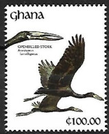 Ghana - MNH ** 1991 : African Openbill -   Anastomus Lamelligerus - Cigognes & échassiers