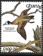 Ghana - MNH ** 1991 :   White-faced Whistling Duck  -  Dendrocygna Viduata - Entenvögel