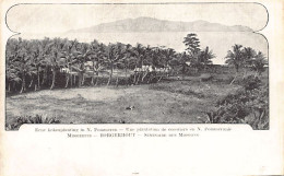 Papua New Guinea - NEW BRITAIN Neupommern - A Coconut Plantation - Publ. Mission From Borgerhout  - Papouasie-Nouvelle-Guinée