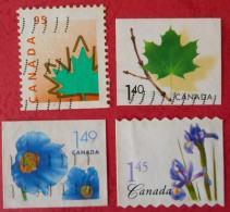 46 Canada Nature Fleurs Feuilles - Alberi