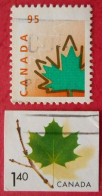 47 Canada Feuilles Arbre Erable - Alberi