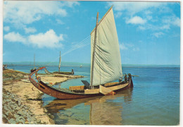 Ria De Aveiro - Barco Moliceiro / Sail-boat - (Portugal) - Aveiro