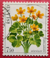 89 Island Islande Fleurs Hofsoley Caltha Palustris - Altri & Non Classificati