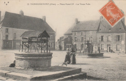 18 - HENRICHEMONT - Place Henri IV - Le Vieux Puits - Henrichemont