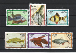 Cuba 1977 Fish  Y.T. 1993/1998 (0) - Used Stamps