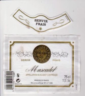 Etiquettes " MUSCADET "  (Thème Soleil, Feuille) (2709)_ev90 - Weisswein