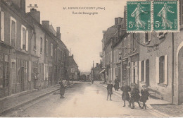 18 - HENRICHEMONT - Rue De Bourgogne - Henrichemont