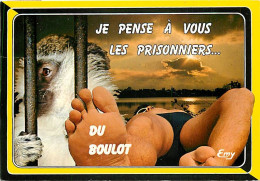 Animaux - Singes - Vervet - Carte à Message - CPM - Voir Scans Recto-Verso - Singes